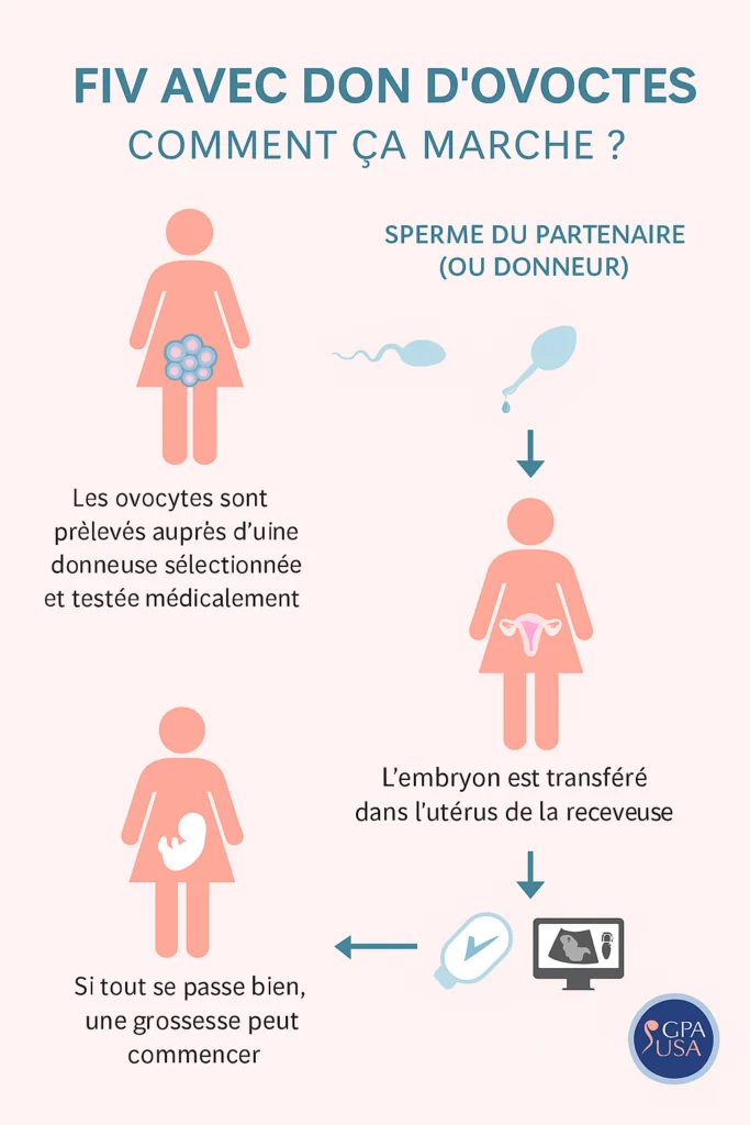 fiv et don ovocytes