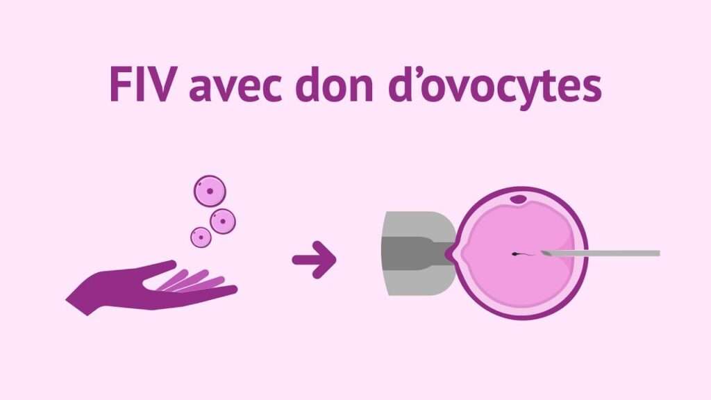 fiv avec don ovocytes