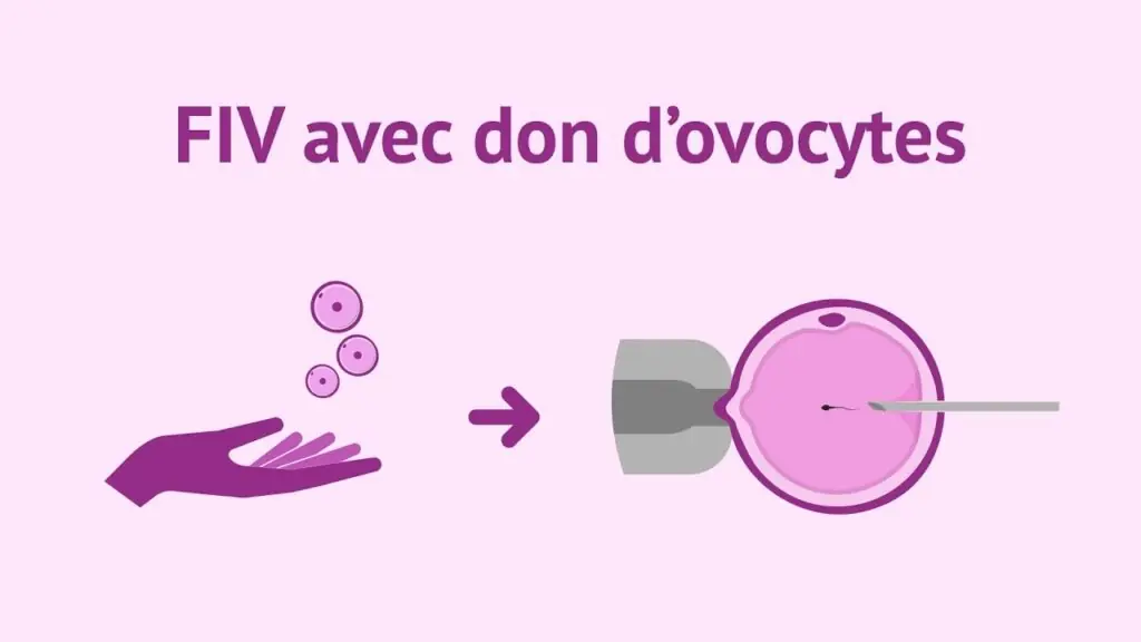 fiv avec don ovocytes