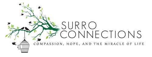 https://surroconnections/